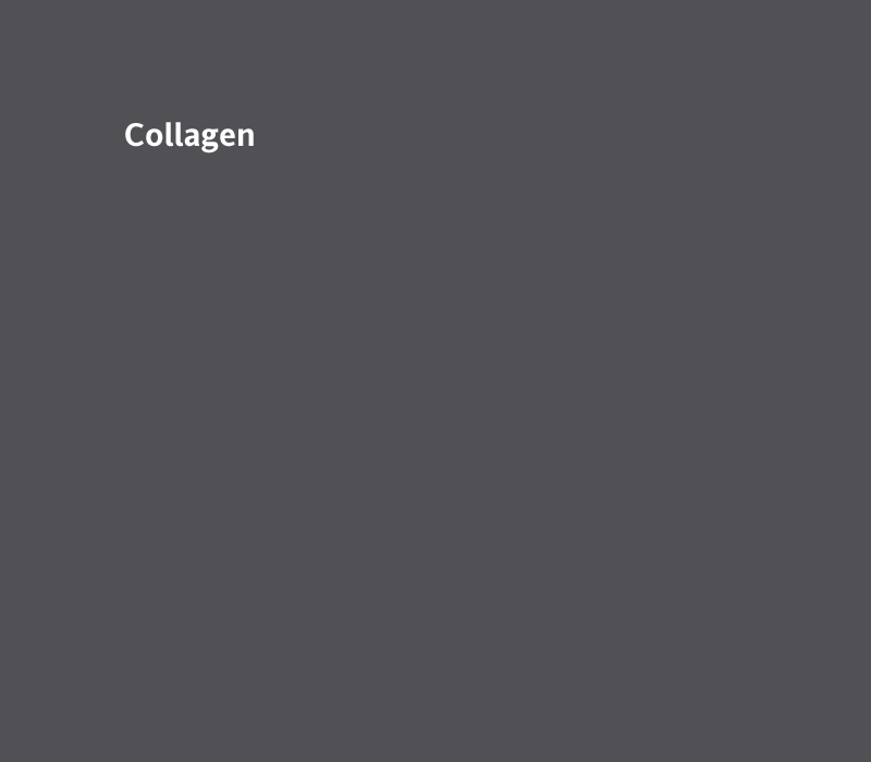 Titel_Collagen
